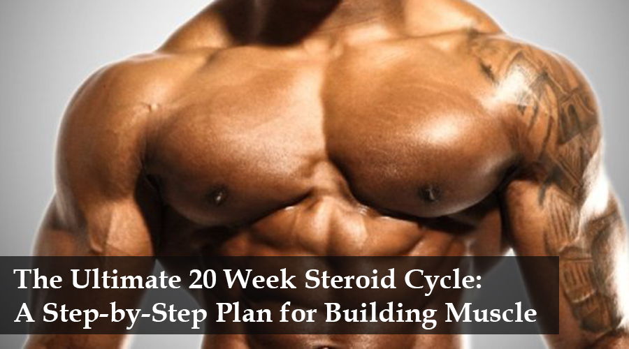 20 week steroid cycle